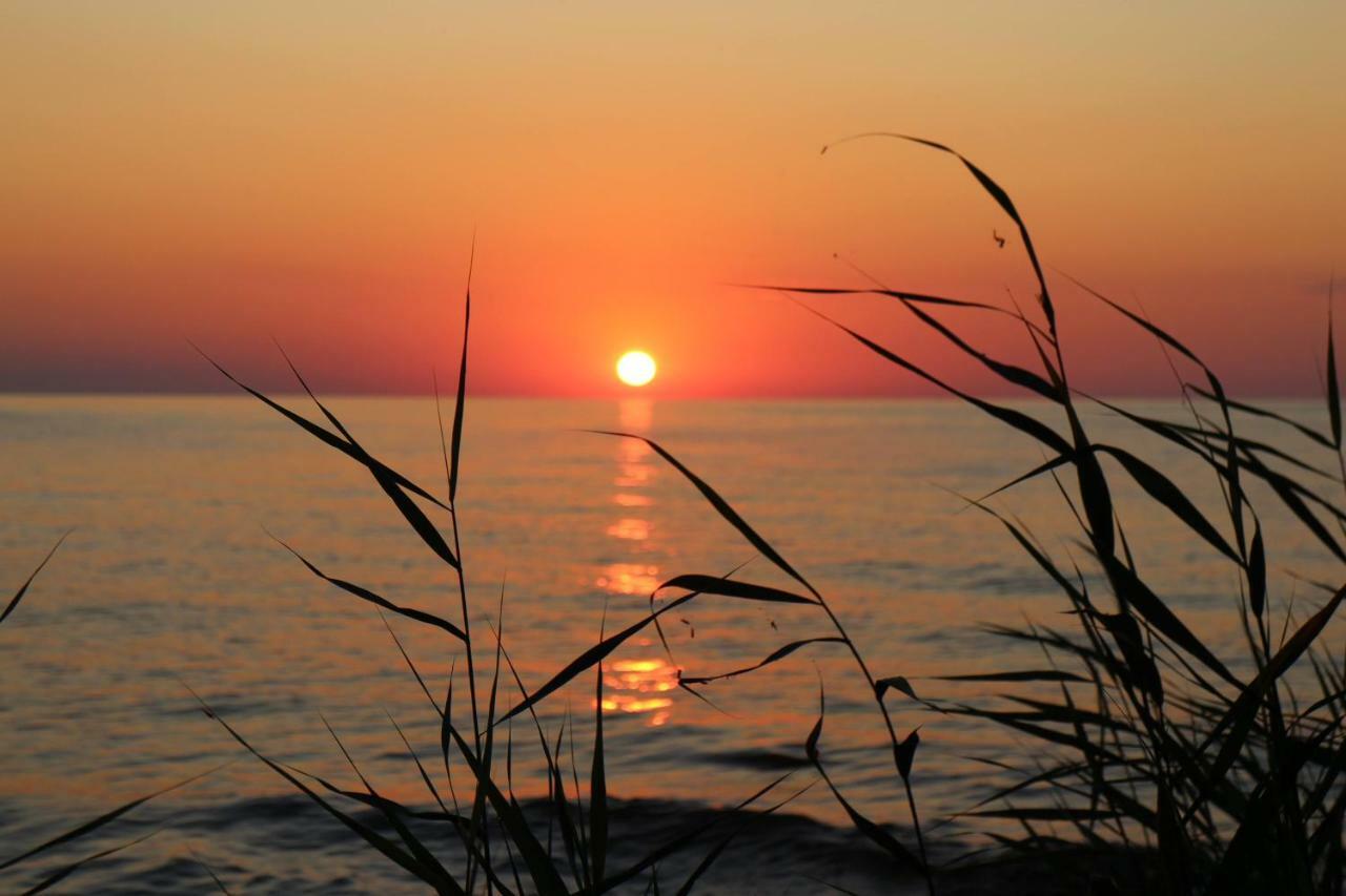 Jaerve Holiday Village Kodavere Εξωτερικό φωτογραφία